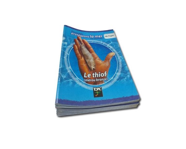 CAHIER 48 PAGES TOPIC PIQ SEY 17X22 310205