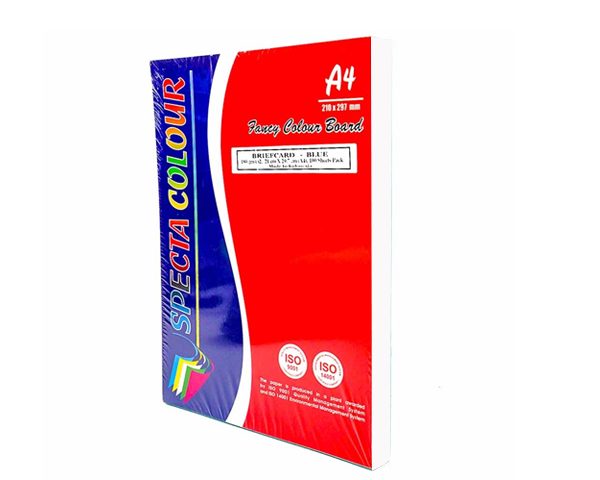 FICHES BRISTOL 210 X297 UNI A4 COULEUR BLANCHE