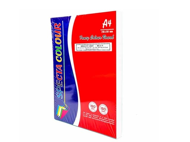 FICHES BRISTOL 210 X297 UNI A4 COULEUR BLANCHE