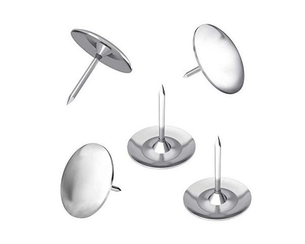 PUNAISE CENTRUM 80130 ARGENTEE