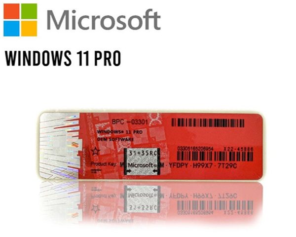 MICROSOFT WINDOWS 11 PRO STICK