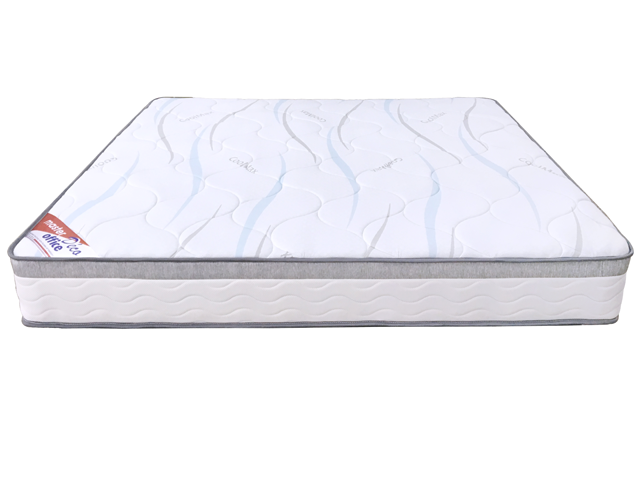 MATELAS ORTHOPEDIQUE E219P-R 160*200*24