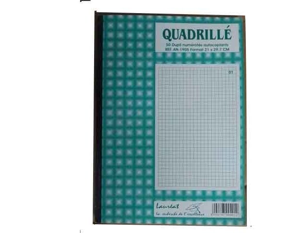 MANIFOLD DUPLI 21X29