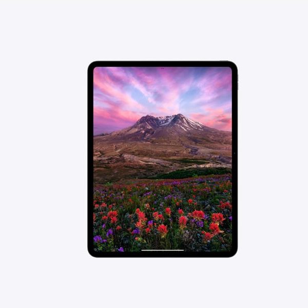 IPAD PRO 13" 512 GB + WIFI CELLULAR MVXU3QA/A