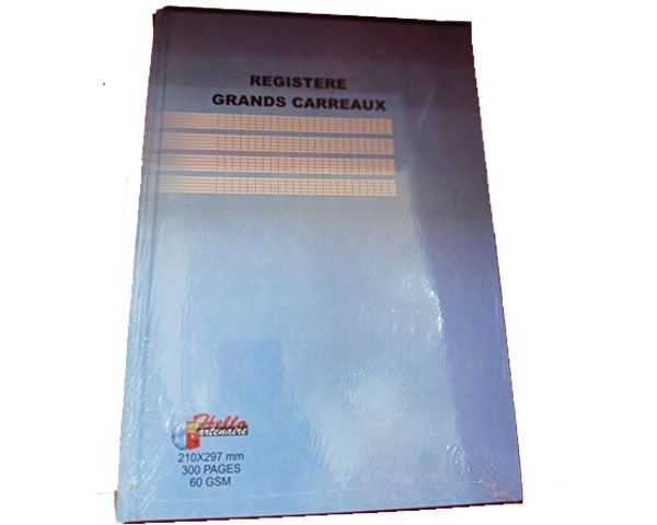 REGISTRE 300 PAGES PM HELLO 17X22